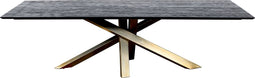 PTMD Alore black gold diningtable rectangle 200 cm