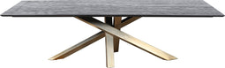 PTMD Alore brown gold diningtable rectangle 280 cm