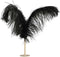 PTMD Bellina Beeld Deco Object Veren - 28x15x33 cm - Metaal - Zwart