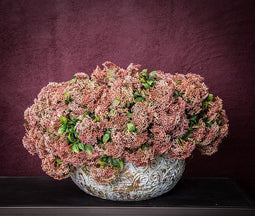 PTMD Berry Plant Bessenstengel Kunstplant - 20 x 19 x 40 cm - Bruin