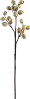 PTMD Berry Plant Eucalyptus Fruit Kunsttak - 26x15x61 cm - Lichtroze