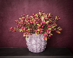 PTMD Berry Plant Paars bessentak met bladeren