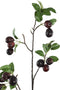 PTMD Berry Plant Pruimen Kunsttak - 52 x 30 x 88 cm - Bordeaux