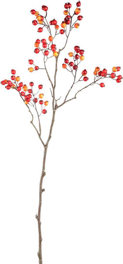 PTMD Berry Plant Red Orange Rose Hip Spray