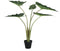 PTMD Bloempot Alocasia - 60x76x80 cm - Polyester - Groen