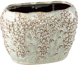 PTMD Bloempot Avis - 28x18x20 cm - Keramiek - Creme