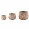 PTMD Bloempot Francisca - 21x21x17 cm - Metaal - Goud