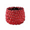 PTMD Bloempot Francisca - 21x21x17 cm - Metaal - Rood