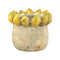 PTMD Bloempot Fruitsy - 21x21x18 cm - Terracotta - Geel