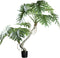 PTMD Bloempot Tree - 170x120x170 cm - Plastic - Zwart
