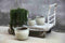 PTMD Bloempot Triston - 46x46x37 cm - Keramiek - Creme - Set van 4