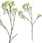PTMD Blossom Bloem Mini Bloesem Kunsttak - 36 x 17 x 76 cm - Groen