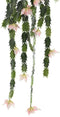 PTMD Cactus Kunsttak Hangend - 90 x 34 x 105 cm - Groen