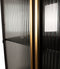 PTMD Caeleen cabinet black and gold