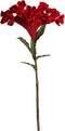 PTMD Celosia Kunstbloem - 40,5 x 25 x 80 cm - Rood