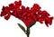 PTMD Celosia Kunstbloem - 40,5 x 25 x 80 cm - Rood