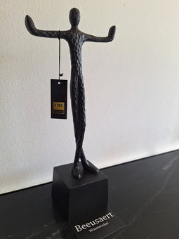 PTMD Deco Object Eagen - 16x9x36 cm - Aluminium - Zwart