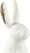 PTMD Decoratieve Object Konijn Agneta - 22x14x43 cm - Polyester - Wit