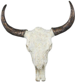 PTMD Decoratieve Schedel Marlo - 62x12x67 cm - Cement - Creme