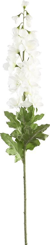 PTMD Delphinium Bloementak - 10 x 10 x 90 - Wit