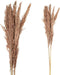 PTMD Dried Twig Pampas Gras - 75 x 7 x 117 cm - 8 stuks - Koper