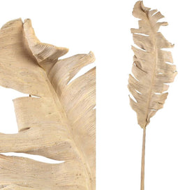 PTMD Droogbloem Vogel - 66x26x117 cm - Natuurlijk Materiaal - Bruin