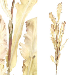 PTMD Droogbloemen Droogbladeren Droogbloem - 92x32x118 cm - Lichtbruin