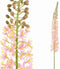 PTMD Eremurus Stengel Kunsttak - 119 x 12 x 117 cm - Kunststof - Roze