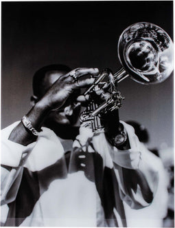 PTMD Exclusive Art Brazil Created By Mac MacAndrew