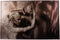PTMD Exclusive Art Broken Clay Poster - 150x100x3,5 cm - Meerkleurig