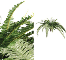 PTMD Fern Plant Green Fern Bush M