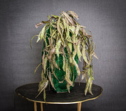 PTMD Fern Plant Hangende Varen Kunsttak - 80 x 48 x 99cm - Groen/bruin