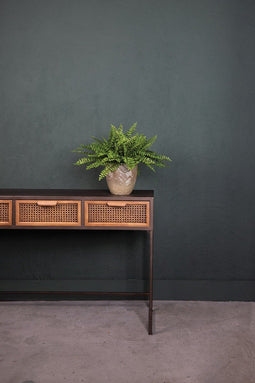 PTMD Fern Plant Varen Prikker -26 x 24 x 35 cm - Groen