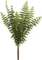 PTMD Fern Plant Varen Prikker -26 x 24 x 35 cm - Groen