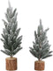 PTMD Fir Kunstkerstboom - 20 x 20 x 50 cm - PE - Besneeuwd groen