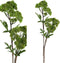 PTMD Garden Bloem Amaranthus Kunsttak - 43 x 20 x 84 cm - Groen