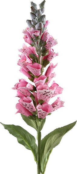PTMD Garden Bloem Digitalis Kunstbloem - 60 x 8 x 82 cm - Roze