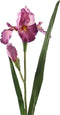 PTMD Garden Bloem Iris Kunsttak - 70 x 21 x 95 cm - Donker roze
