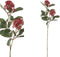 PTMD garden bloem red groen skimmiablad tak