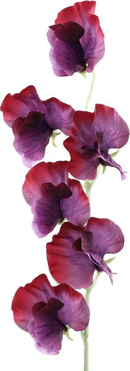 PTMD Garden Bloem Sweetpea Kunstbloem - 23 x 6,5 x 45,5 cm - Paars