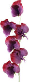 PTMD Garden Bloem Sweetpea Kunstbloem - 23 x 6,5 x 45,5 cm - Paars