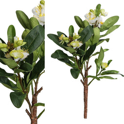 PTMD garden bloem wit apple bloesem met bladeren