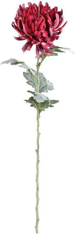 PTMD Garden Flower Burgundy Spider Mum Stem Flocked