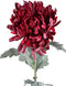 PTMD Garden Flower Burgundy Spider Mum Stem Flocked