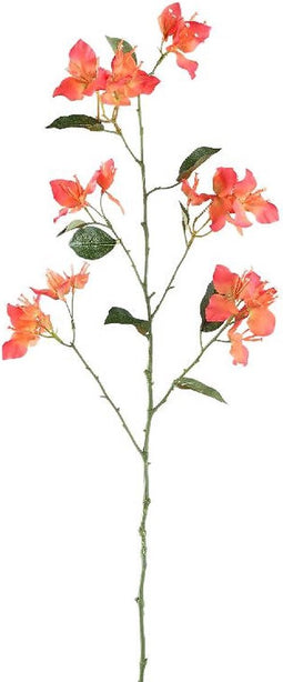 PTMD Garden Flower Orange Bougainvillea Spray