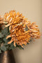 PTMD Garden Flower Orange Spider Mum Stem Flocked
