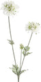 PTMD Garden Flower Scabiosa Kunsttak - 35 x 15 x 68 cm - Wit