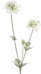PTMD Garden Flower Scabiosa Kunsttak - 35 x 15 x 68 cm - Wit