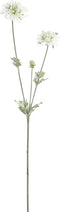 PTMD Garden Flower Scabiosa Kunsttak - 35 x 15 x 68 cm - Wit