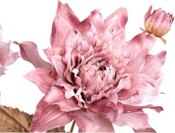 PTMD Gedroogde Dahlia Droogbloem - 27x38x79 cm - Kunststof - Paars